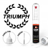 Stylo Retouche Peinture Triumph