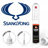 Stylo Retouche Peinture Ssangyong