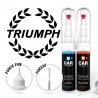 Kit Stylo Retouche Triumph + Vernis