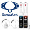 Kit Stylo Retouche Ssangyong + Vernis