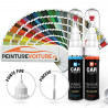 Kit Stylo Retouche RAL + Vernis  