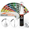 Stylo Retouche Peinture RAL Design à Vernir