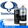 Kit Bombe de Peinture SsangYong + Vernis 2K