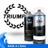 Kit Bombe de Peinture Triumph + Vernis 2K