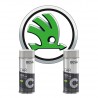 Kit Bombe de Peinture Skoda + Vernis