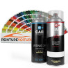 Kit Bombe de peinture RAL + Vernis