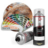 Bombe de Peinture RAL Antirouille Brillante tous supports !