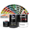 Kit Peinture RAL Brillant Direct 2K