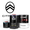 Kit Peinture Citroën Brillant Direct