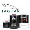 Kit Peinture Jaguar Brillant Direct