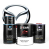 Kit Peinture Mazda (en pot) + Diluant + Vernis