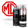 Kit Bombe de Peinture MG + Vernis