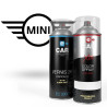 Kit Bombe de Peinture Mini + Vernis