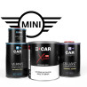 Kit Peinture Mini (en pot) + Diluant + Vernis