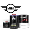 Kit Peinture Mini Brillant Direct