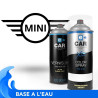 Kit Bombe de Peinture Mini + Vernis 2K