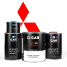Kit Peinture Mitsubishi (en pot) + Diluant + Vernis