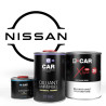 Kit Peinture Nissan Brillant Direct