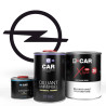 Kit Peinture Opel Brillant Direct