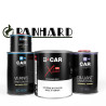 Kit Peinture Panhard (en pot) + Diluant + Vernis