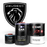 Kit Peinture Peugeot Brillant Direct