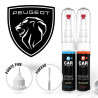 Kit Stylo Retouche Peugeot + Vernis  