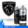 Kit Bombe de Peinture Peugeot + Vernis 2K