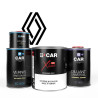 Kit Peinture Renault (en pot) + Diluant + Vernis
