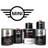 Pack Peinture Voiture Premium Mini