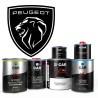 Pack Peinture Voiture Premium Peugeot