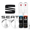 Kit Stylo Retouche Seat + Vernis