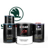Kit Peinture Skoda (en pot) + Diluant + Vernis