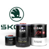 Kit Peinture Skoda Brillant Direct