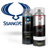 Kit bombe de peinture SsangYong + Vernis