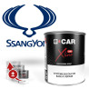 Peinture SsangYong solvantée en pot