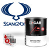 Peinture SsangYong Brillant Direct Polyuréthane