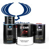 Kit Peinture SsangYong (en pot) + Diluant + Vernis