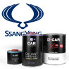 Kit Peinture SsangYong Brillant Direct