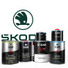 Pack Peinture Voiture Premium Skoda
