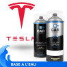 Kit Bombe de Peinture Tesla + Vernis 2K