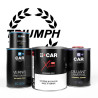 Kit Peinture Triumph (en pot) + Diluant + Vernis