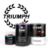 Kit Peinture Triumph Brillant Direct