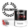 Peinture Triumph Brillant Direct Polyuréthane