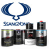 Pack Peinture Voiture Premium Ssangyong
