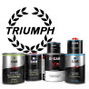 Pack Peinture Voiture Premium Triumph