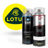 Kit bombe de peinture Lotus + Vernis