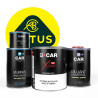 Kit Peinture Lotus (en pot) + Diluant + Vernis