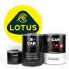 Kit Peinture Lotus Brillant Direct