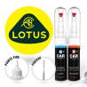 Kit Stylo Retouche Lotus + Vernis