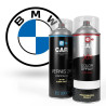Kit Bombe de Peinture BMW + Vernis